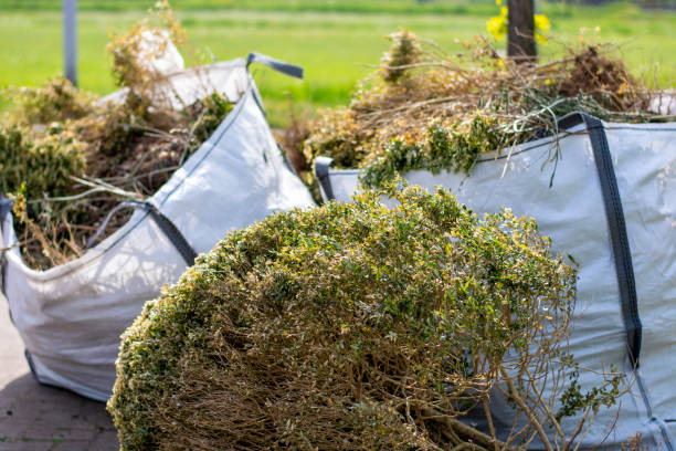 Best Dumpster Rental Services  in Alva, OK